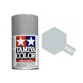 Tamiya TS-81 Royal Light Gray Colore Spray per Plastica 100ml