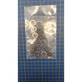 Kit Cuscinetti per 1/8 Buggy Asso