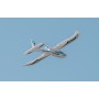 Easy Trainer 800mm v2 con radio Mode1 completo di tutto