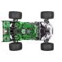 TEAM CORALLY Kagama 4 RTR Verde 4S Pack 4S Monster Truck 1/10