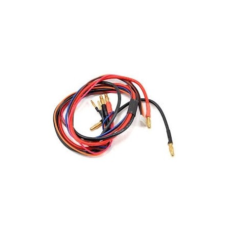 cavetto LRP 65822 universal charging lead – 2 x 2S   LiPo Hardcase incl. Balancing adapter
